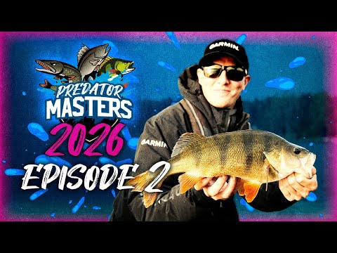 HUGE PERCH‼️ – PredatorMasters 2026 | Episode 2