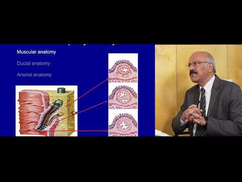 ERCP basics part 1