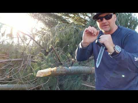 Cold Steel Chaos Stiletto knife review