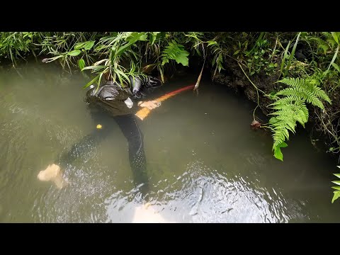 SE03EP199 Part 2 - SA ISANG LUNGGA MAGKASABAY na LUMABAS | San Pablo City, Laguna