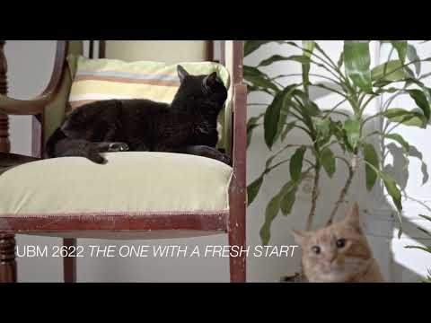 UBM 2622 Piano Plus One | Daniel Elias Brenner