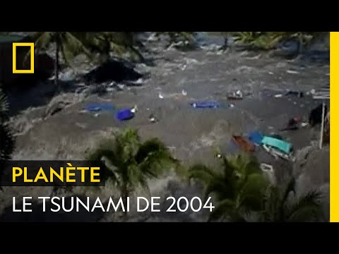 Qu'est-ce qui a provoqué l'énorme tsunami de 2004 ?