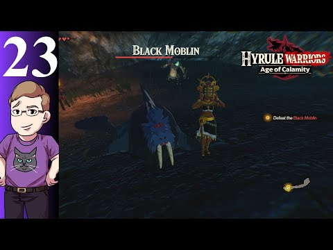 Let's Play Hyrule Warriors (Blind) Part 23 - Trying Out Riju and Teba!