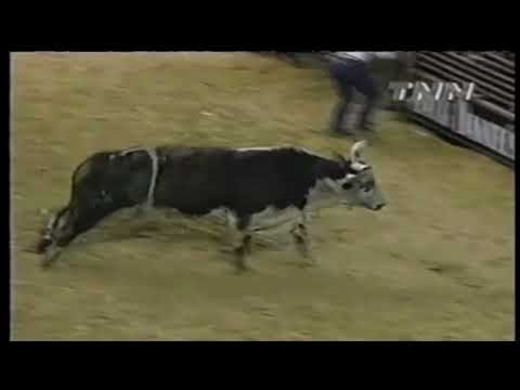 Hollywood bucks Tony Mendes - 00 PBR Columbus, GA