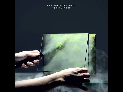 How to make a desktop Living Moss Wall with fog by TerraLiving