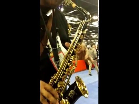 B - U.S.A. WAS-LQ Professional Alto Saxophone Lacquer w/Hard Case, Gloves, Cleaning Rod & Neck Strap image 10