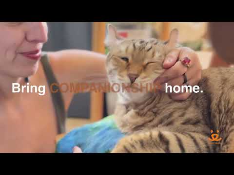 Best Friends Animal Society and Alex Warren are helping to Bring Love Home.