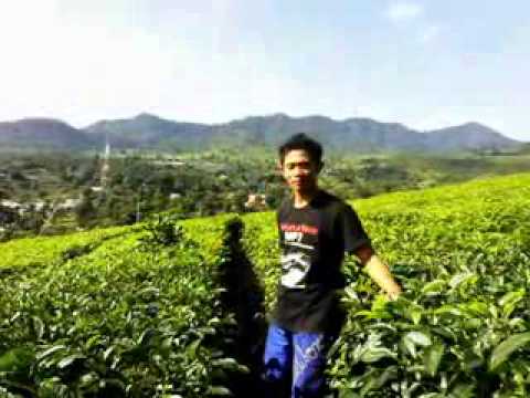 Zahra Habibah & Papah