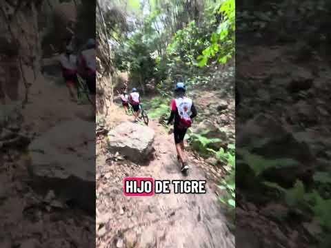 Una caminata después de salir del túnel 7