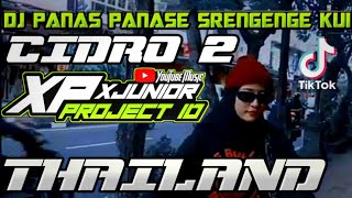 Download lagu DJ PANAS PANASE SRENGENGE KUI VERSI THAILAND TERBARU VIRAL TIKTOK 2021 || DJ CIDRO 2 THAILAND mp3
