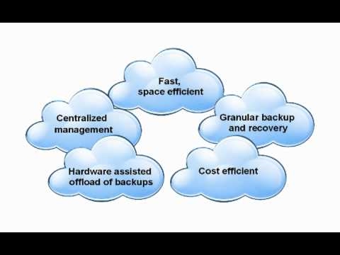 NetApp Snapshot Backups with VMware vCloud Director