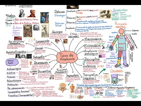 Anatomy. Complete Course. Topic 1: Generalities. Definition and types of anatomy.