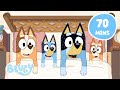 LIVE Relax With The Heelers Family Chill Time With Bluey And Bingo Bluey