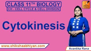Cytokinesis | Cell Cycle and Cell Division | CBSE Class 11 Biology