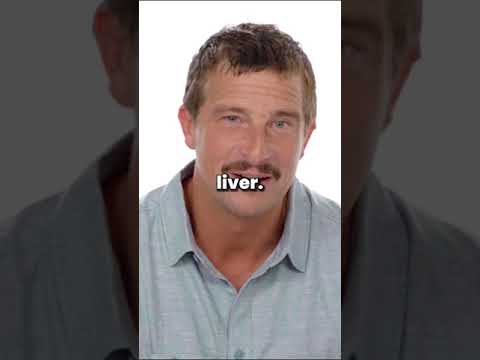 What does Bear Grylls actually eat?