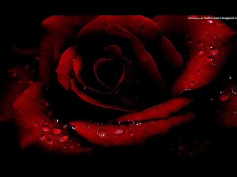 1st Hong Kong Gothic Festival - TRAUM Our Gothic Dream_29.10.2011.wmv