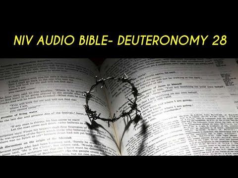 DEUTERONOMY 28 NIV AUDIO BIBLE (with text)