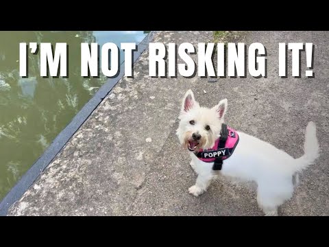 It's All Fun And Games In This Narrowboat Life Ep 98