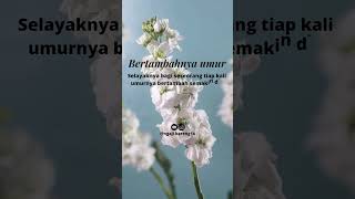 Download lagu (bertambahnya umur) menyajikan tentang motifasi hidup,kata mutiara,kata bijak,kata islami, mp3 Download lagu (bertambahnya umur) menyajikan tentang motifasi hidup,kata mutiara,kata bijak,kata islami, mp3