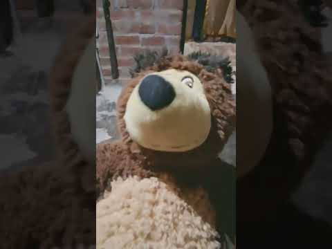 11 de diciembre de 2025