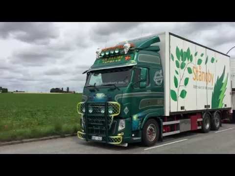 Volvo Fh palms