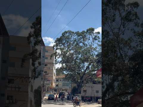 População das Cidades Mineiras 70 - Zona da Mata