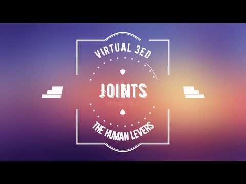 Joints: The Human Levers