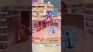 Royal Caribbean Cruiser Denied Boarding Over Forgotten Gun 🚫🔫 #Shorts #cruisenews