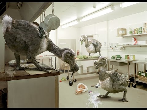 Primeval: Series 1 Episode 4 - Next Time Trailer - ITV