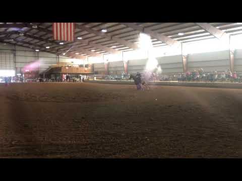 Runbridled - 03.23.2019 - 15.5 - 18th out of 111