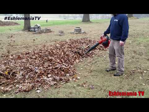 Leaf Blowers! Which Type Will Work Best For You? What Are The Differences?