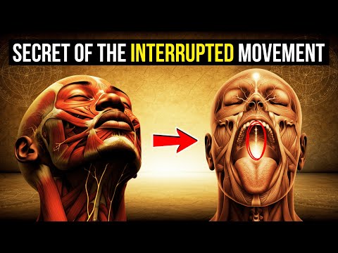 The 4th Freeze Point: The Hidden Block That Sabotages Your Awakening (Almost No One Knows)