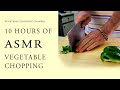 10 HOUR ASMR Fruit And Vegetable Chopping COMPILATION