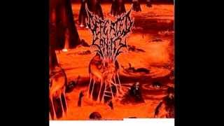 Defeated Sanity - Butchered at Birth (Cannibal Corpse cover)