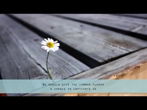Inspirational Video: The Little Things in Life