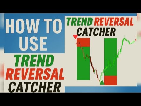 Video Trend Reversal Catcher with Alert MT5