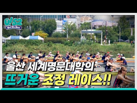[생방송0!52] 2025 울산 세계명문대학 조정 페스티벌