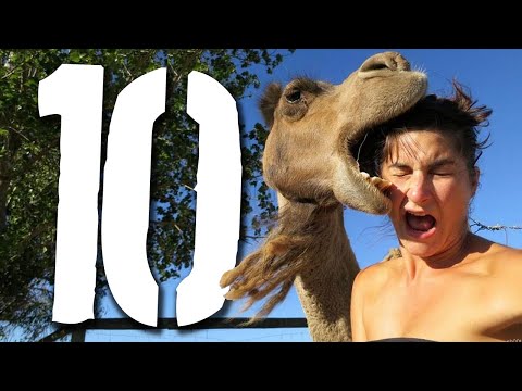 10 najgłupszych śmierci - nagrody DARWINA 23 [TOPOWA DYCHA]