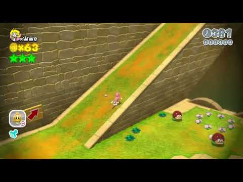 Super Mario 3D World 4-5 Speedrun - Time: 30 (TWR)