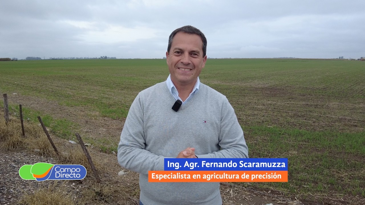 Campo Directo | Conectividad | Transformando la producción, los servicios y la vida en el campo