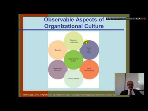 Organization Theory and Design Daft Chapter 1 Part 1 Introduction