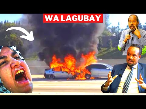 DEG__canfar & axmaro o isku jabay & dhimasho wasiro & xildhibano | afgambiga koonfurgalbed &dagaal..