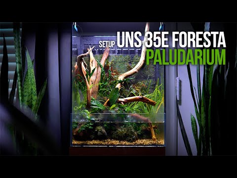 UNS 35E Foresta Paludarium Setup - Build a Paludarium From Start to Finish
