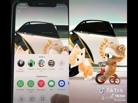 follow myTIK tom Leonardos7