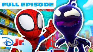 Download lagu Spidey and his Amazing Friends Season 5 First Full Episode 🕷️ | Feat. Zola and Symbie | Disney Jr. mp3
