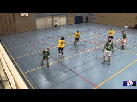 Samenvatting Alcides-Rouveen