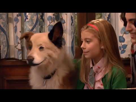 Disney Channel Scandinavia - Continuity (8 September 2022)