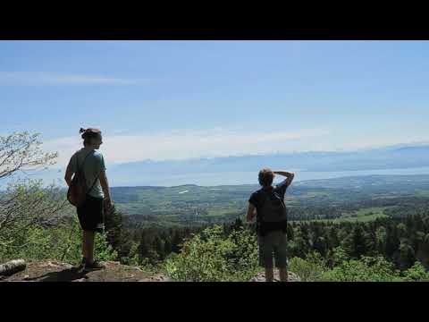 Post-Lockdown Hikes - Geneva & Neuchâtel
