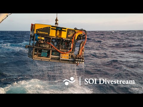 Lower Section of Punta del Diablo Submarine Canyon | SOI Divestream 853 PART 2