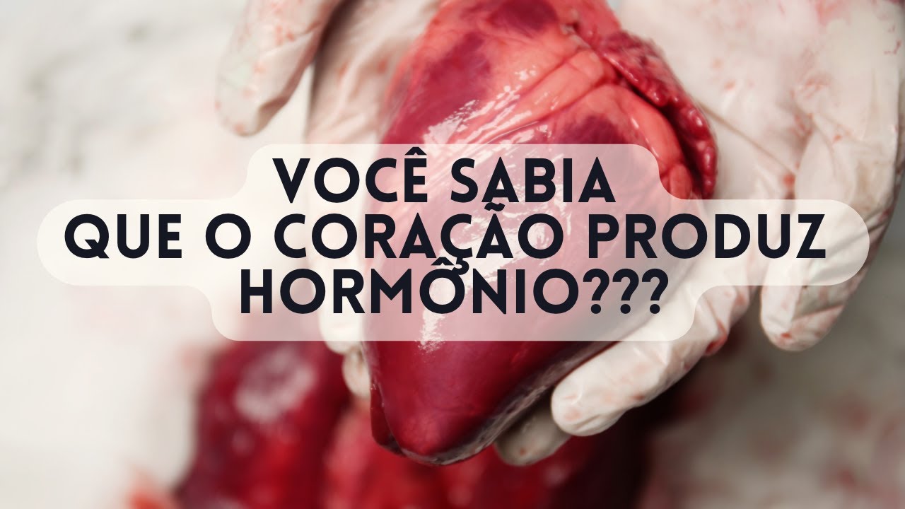 Você sabia que o coração produz hormônio???? (Entenda os mecanismos de controle da pressão arterial)